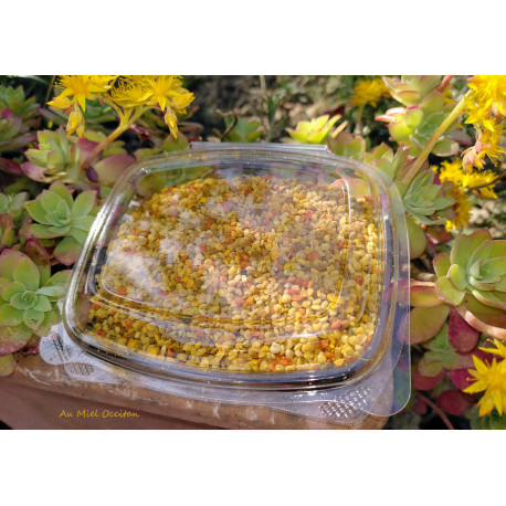 Pollen Frais Congelé 200g