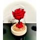 CLOCHE ROSE ETERNELLE ROUGE