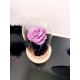 CLOCHE ROSE ETERNELLE ROSE