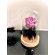 CLOCHE ROSE ETERNELLE ROSE